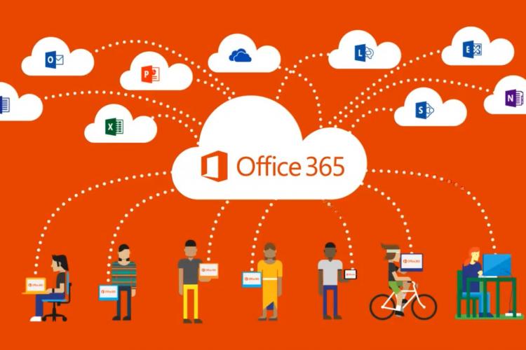 office365